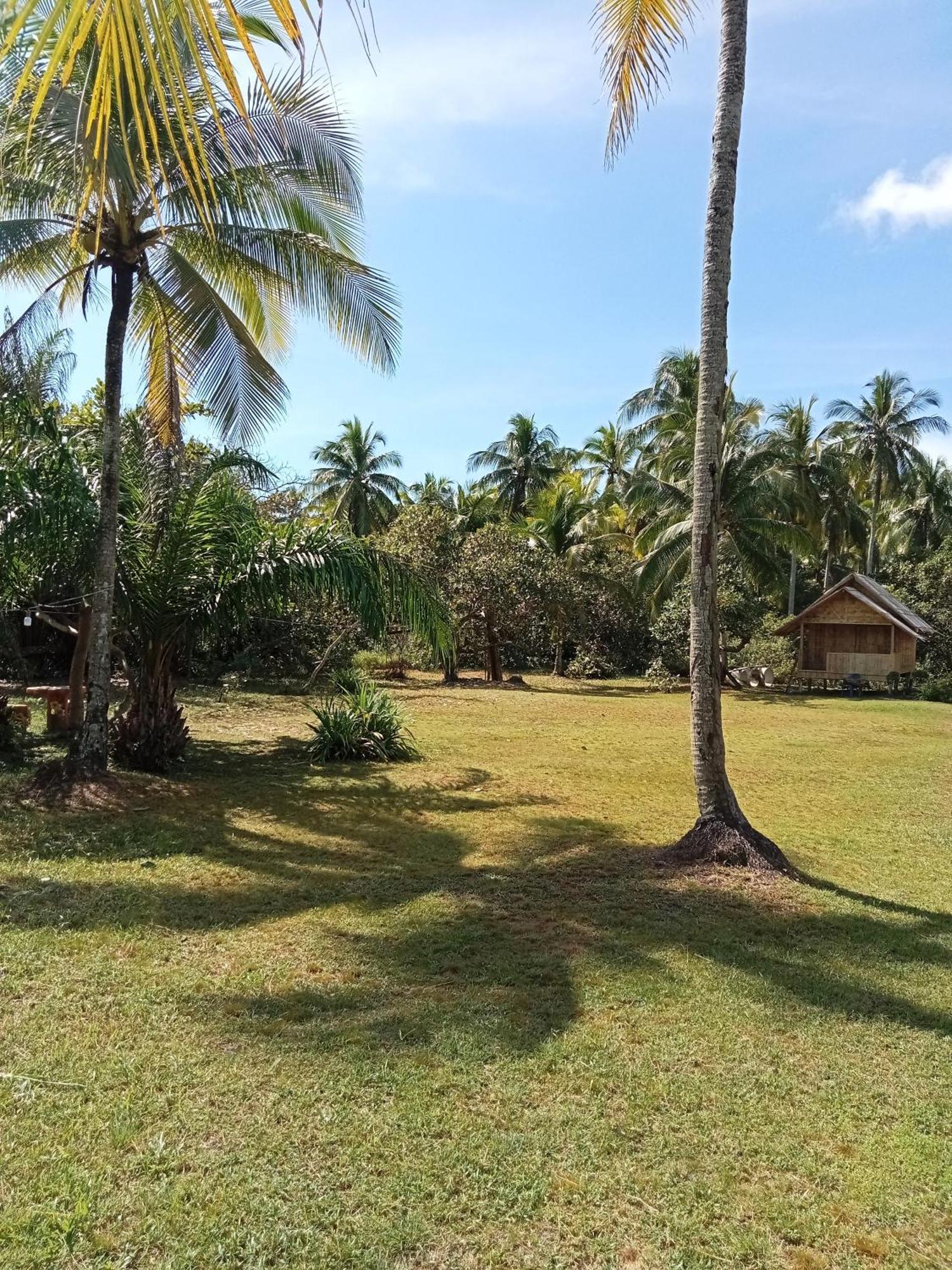 Koh Mook Oyoy Reggaebar Bungalow Eksteriør bilde