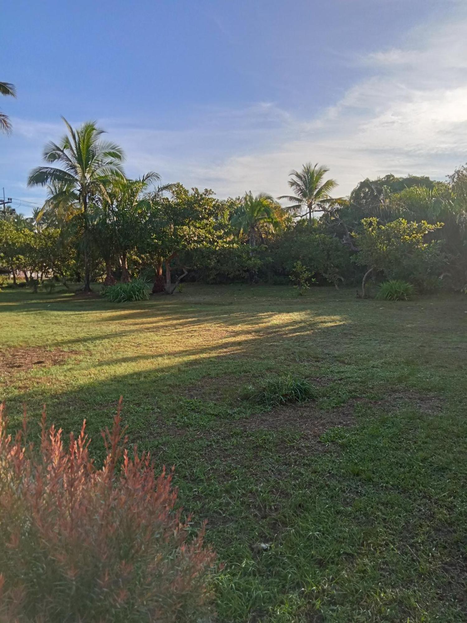 Koh Mook Oyoy Reggaebar Bungalow Eksteriør bilde